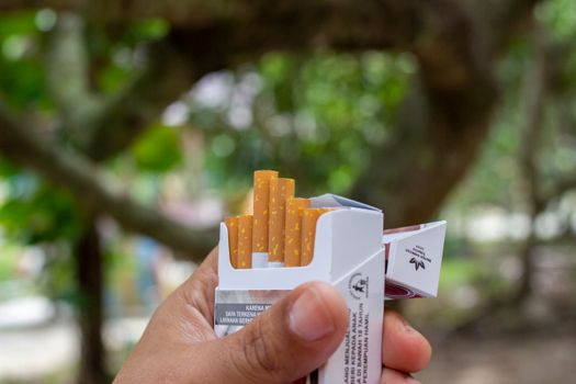 Langkah AS Larang Rokok Mentol: Siapa yang Terpengaruh dan Apa Implikasinya?