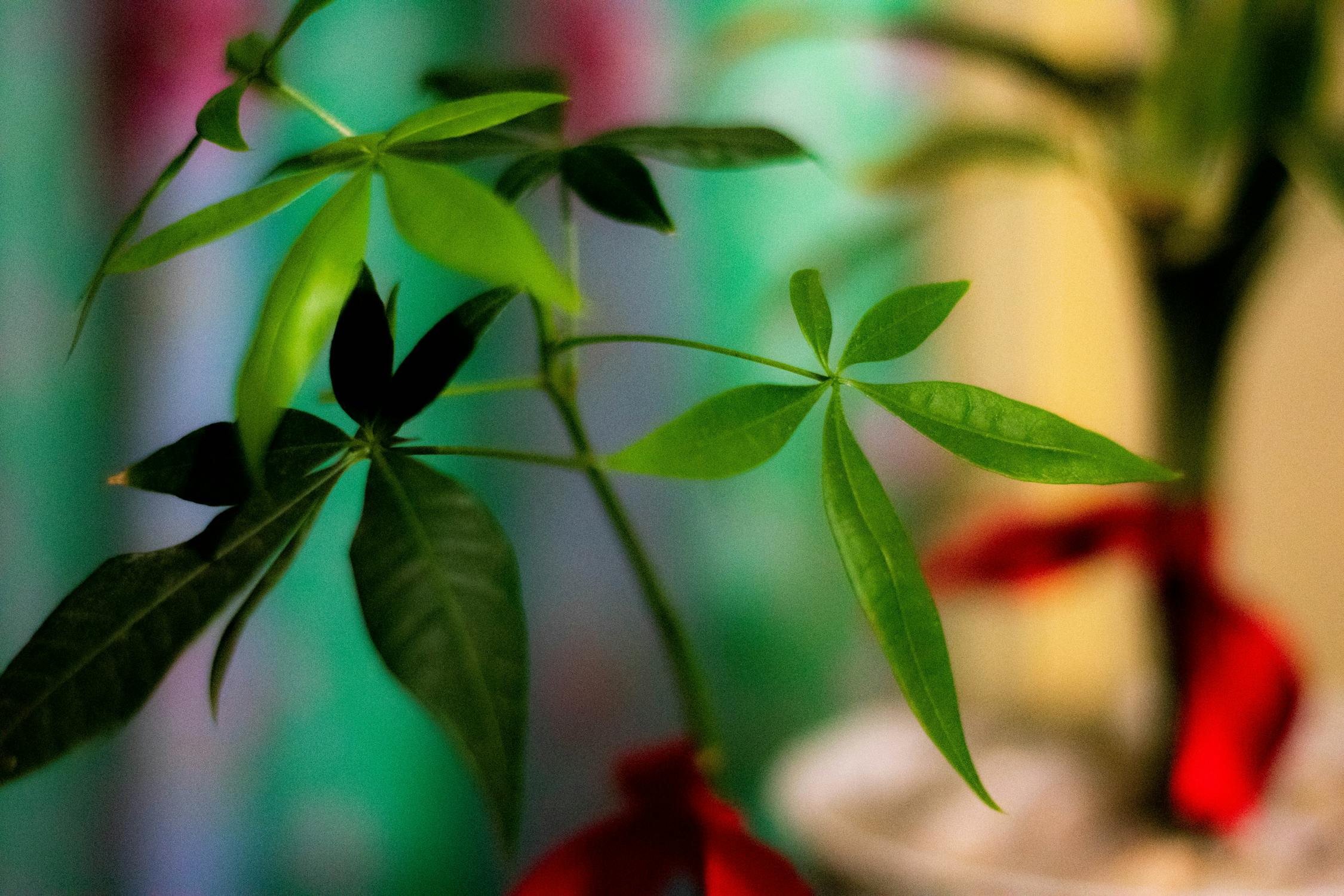 Geger Pasar! Argus Research Ungkap Raksasa Tersembunyi di Sektor Teknologi Hijau & AI: Peluang Investasi Emas yang Wajib Anda Perhatikan!