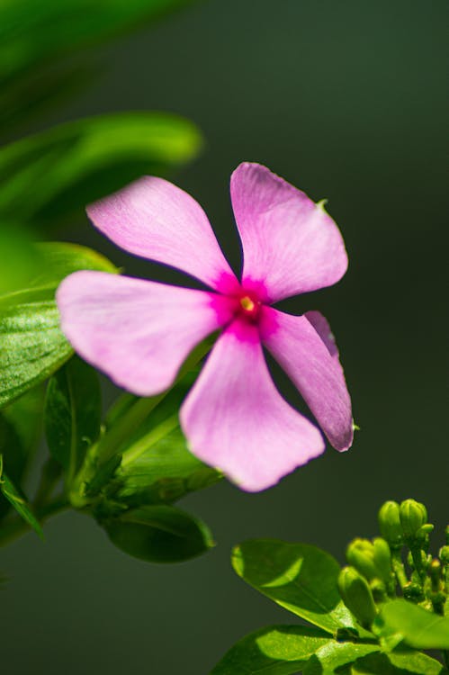 Gerak Cepat Menteri Maman: Pemetaan UMKM Terdampak Bencana, Kunci Kebangkitan Ekonomi Lokal!