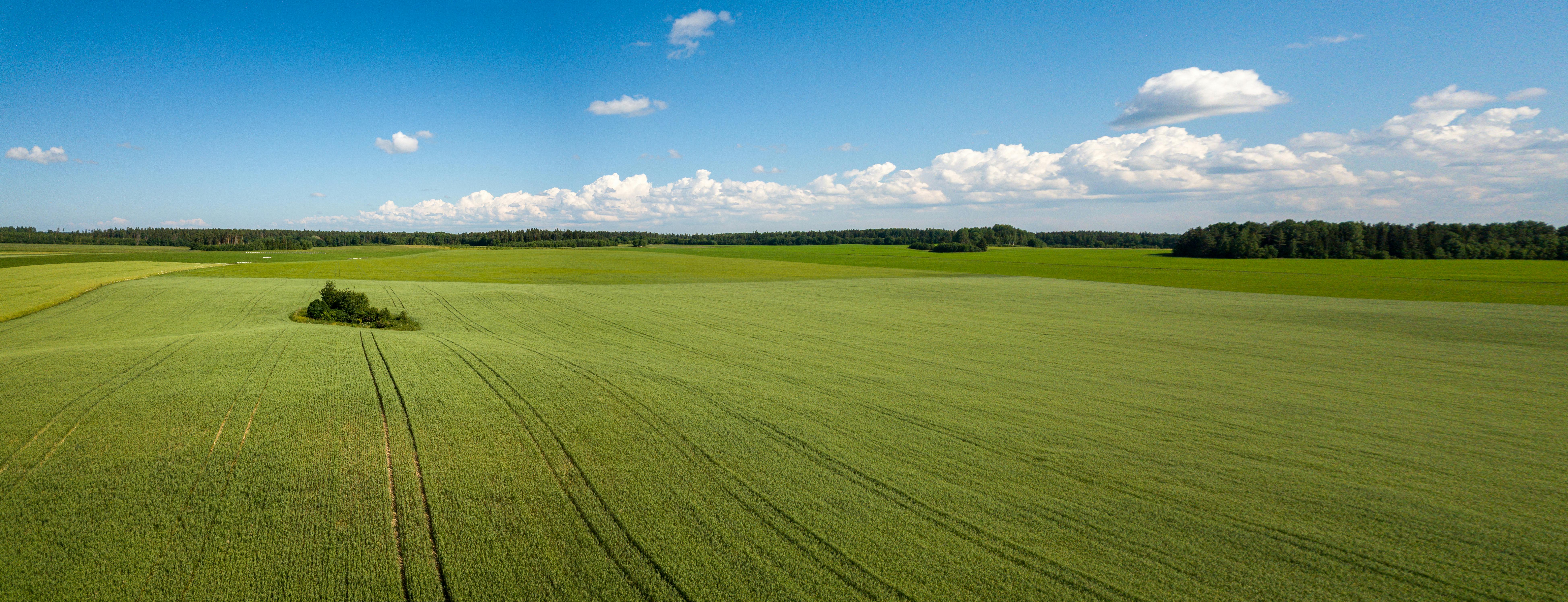 Wujudkan Mimpi Indonesia Tangguh Bencana: Kemensos Sulap Desa Blendung Jadi Kampung Siaga Bencana!