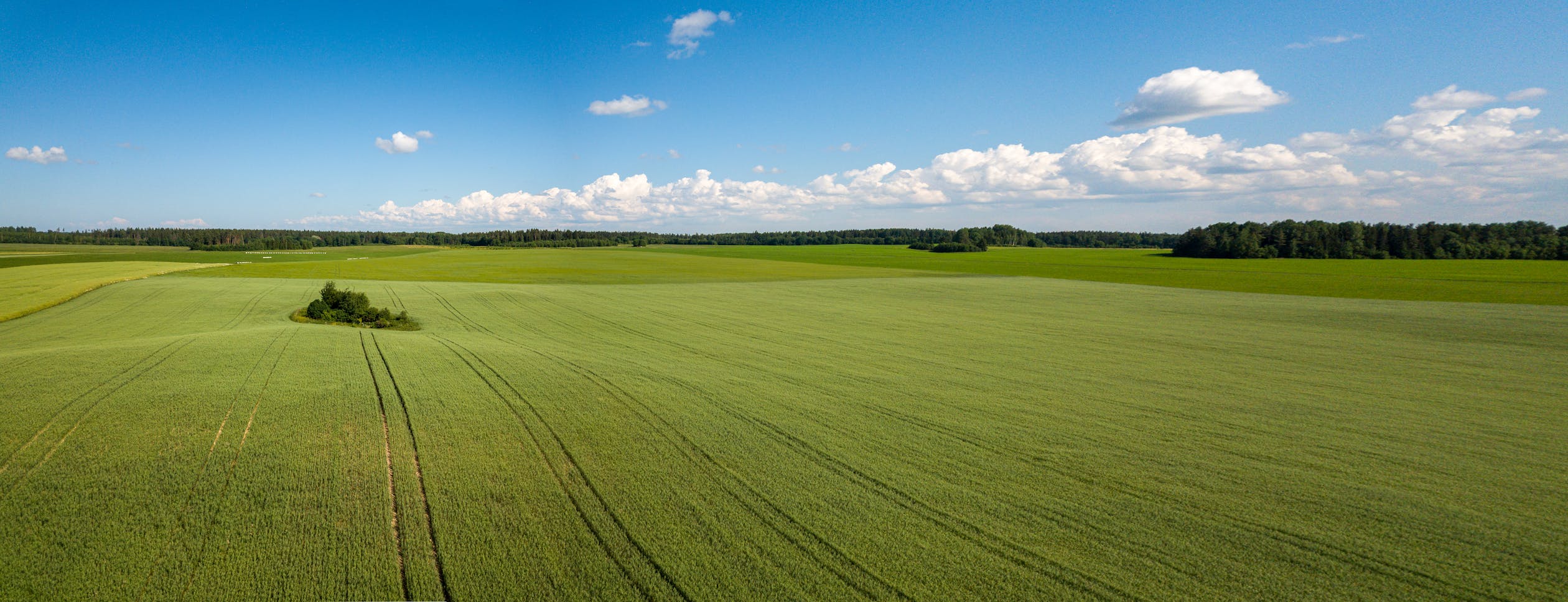 Dari Kampus untuk Negeri: UI Peduli Hadirkan Gelombang Kebaikan Bagi Korban Erupsi Semeru dan Banjir Sumatera