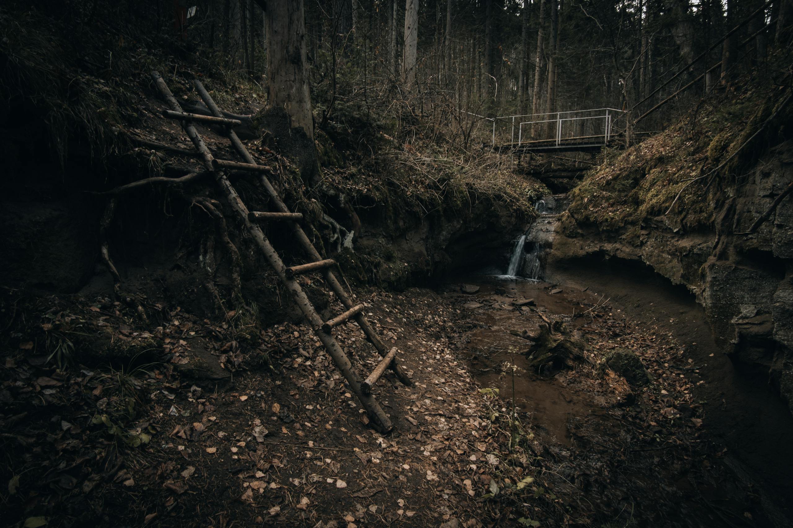 Gerak Cepat Partai Demokrat: Agung Nugroho Pimpin Bantuan Kemanusiaan untuk Korban Bencana, Wujudkan Arahan AHY