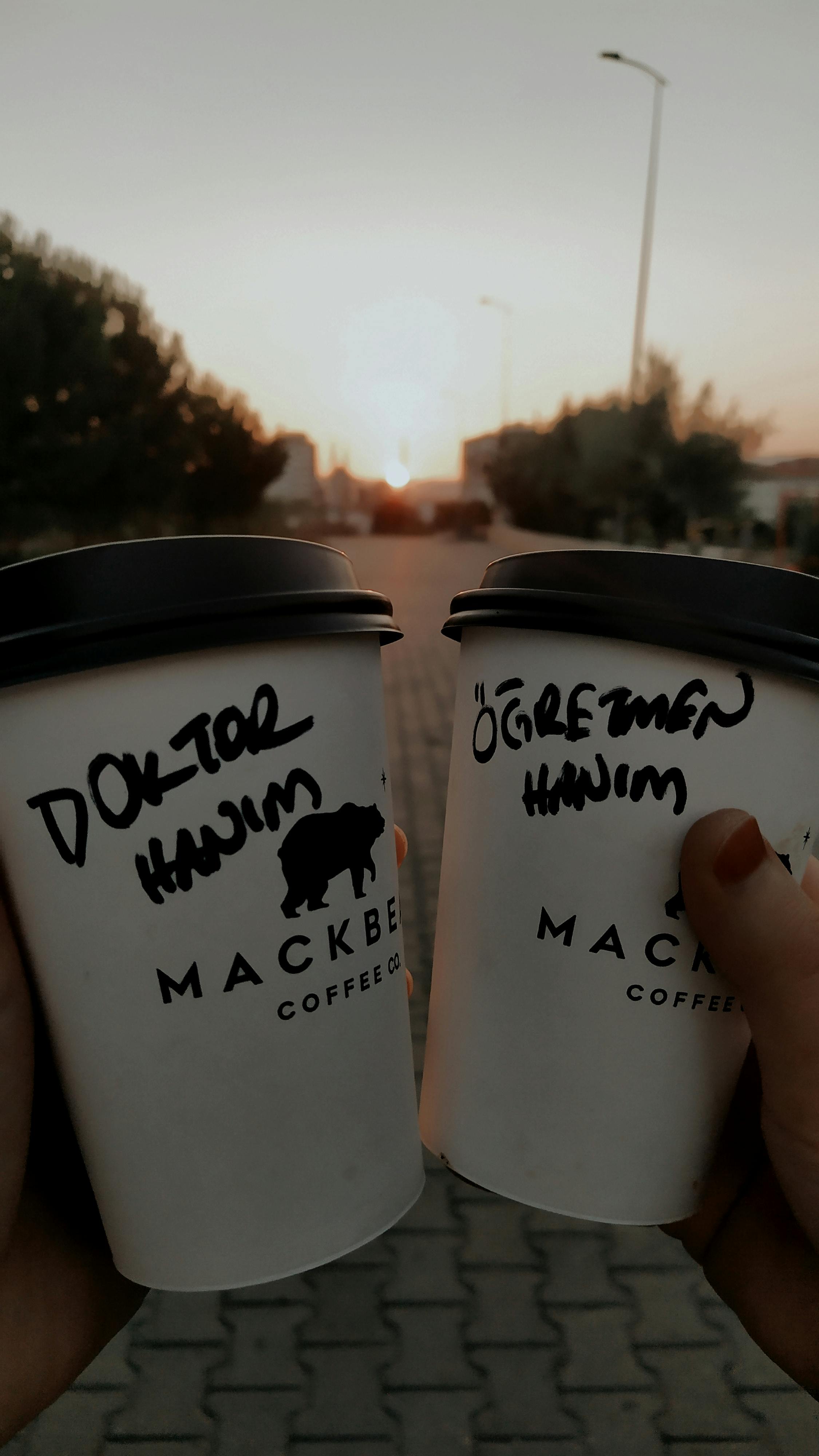 Puducherry di Garis Depan Demokrasi: Mengapa Revisi Daftar Pemilih Intensif Ini Penting untuk Anda!