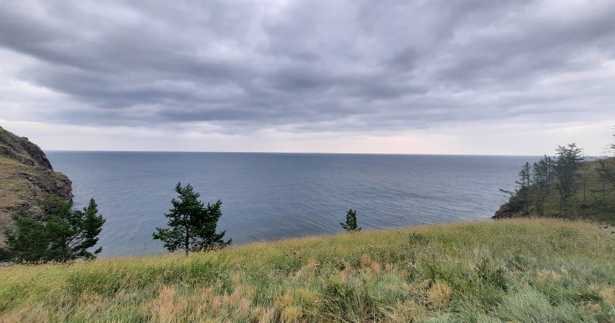 Ancaman Tersembunyi di Balik Kecanggihan AI: Studi Michigan Ungkap Kerentanan Fatal LLM Terhadap Serangan "Data Poisoning"