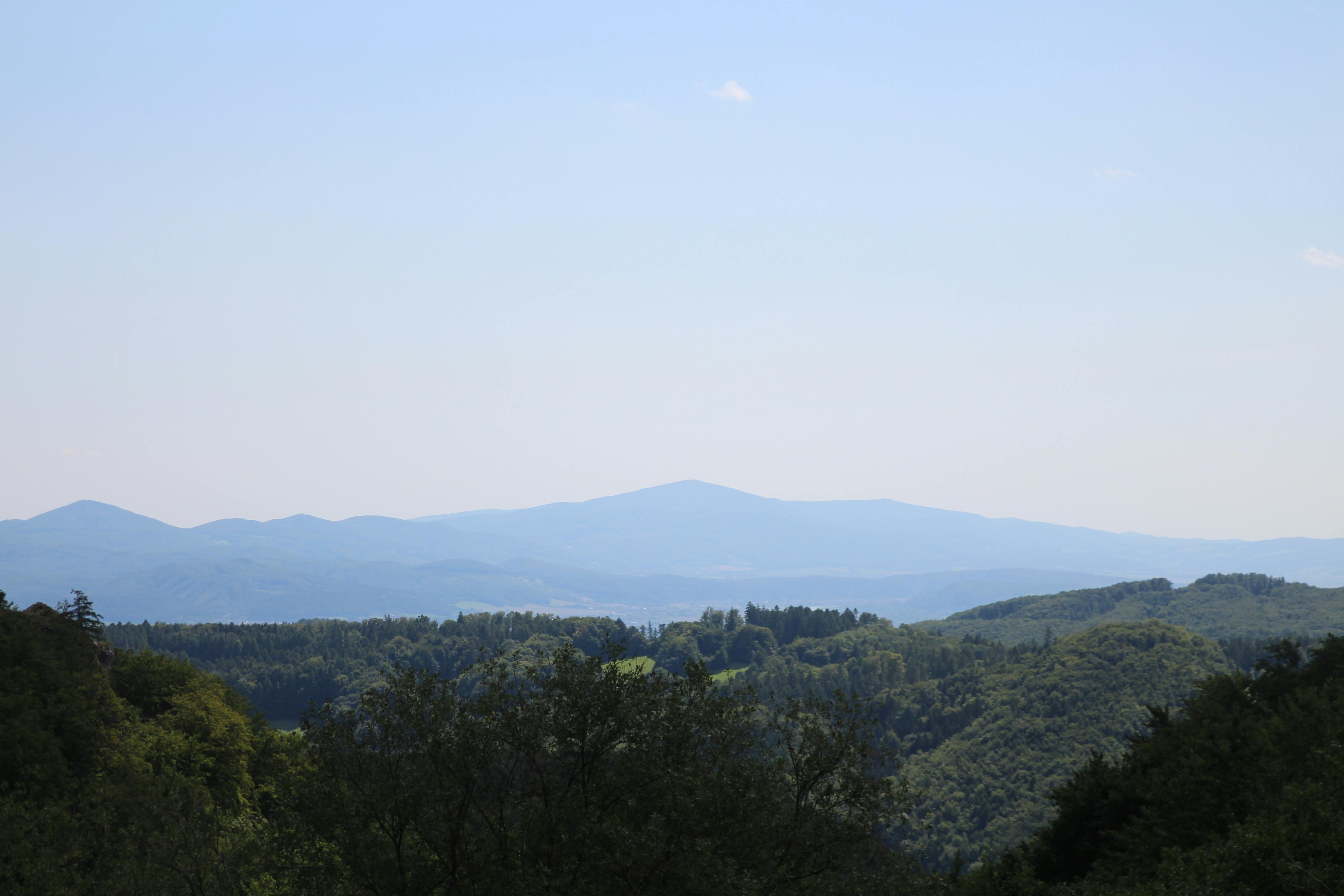 Aceh Tenggara Bangkit Lebih Kuat: Wamensos Pastikan Penanganan Darurat Berjalan Optimal, Wujud Kehadiran Negara di Tengah Duka