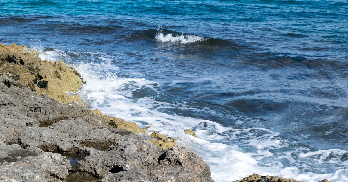 Hyrule Warriors: Age of Calamity Mengguncang Dunia Gaming: Antara Pujian Epik dan Keluhan Framerate!