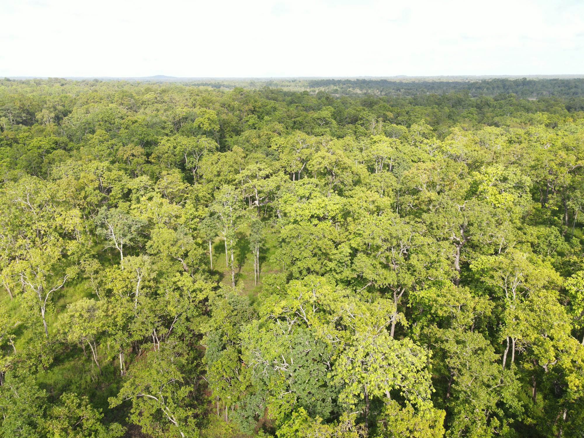 Gerbang Dunia Terbuka: Kemenag Siapkan Beasiswa Global untuk Lulusan 80 Pesantren yang Direkonstruksi!