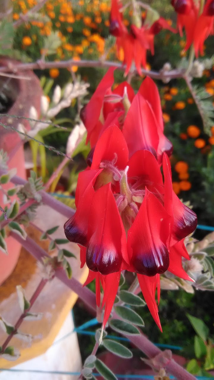 Menciptakan Nilai Berkelanjutan: Mengapa ESG, AI, dan Kepemimpinan Berbasis Tujuan Adalah Kunci Sukses Bisnis di Era Transformasi Digital