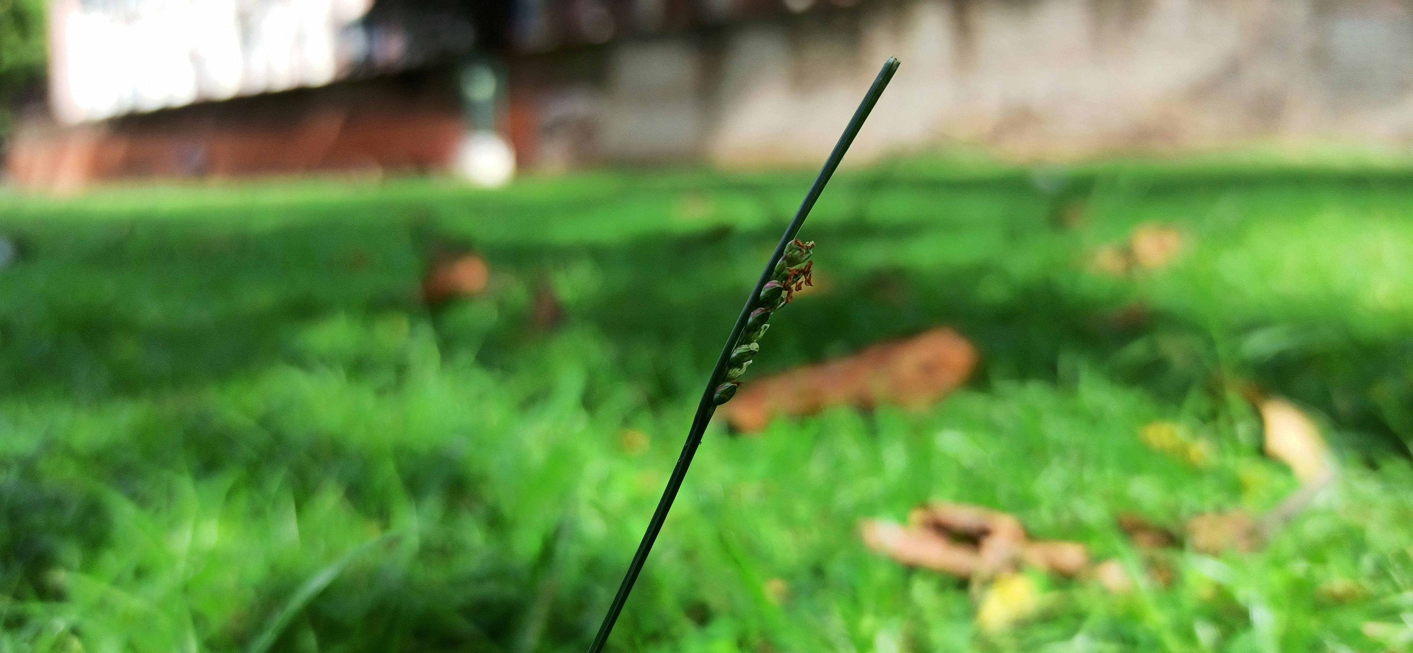 Runtuhnya Mimpi $330 Juta: Kebangkrutan Startup EV Battery Swapping, Pelajaran Berharga Bagi Industri