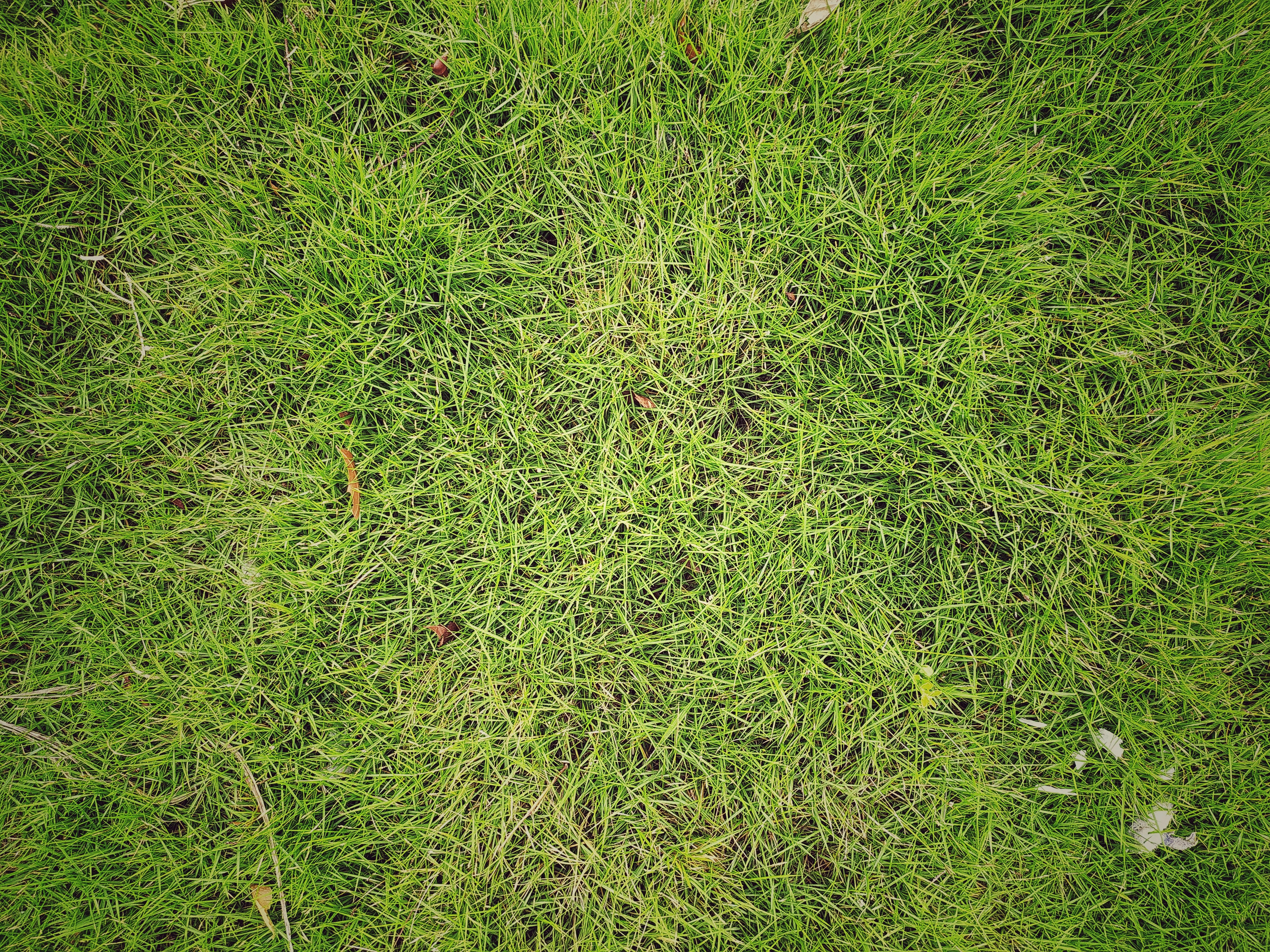 Gelombang Penolakan Iklim Mengguncang Dunia: Ancaman Nyata bagi Agenda Hijau dan Kekuatan Politik