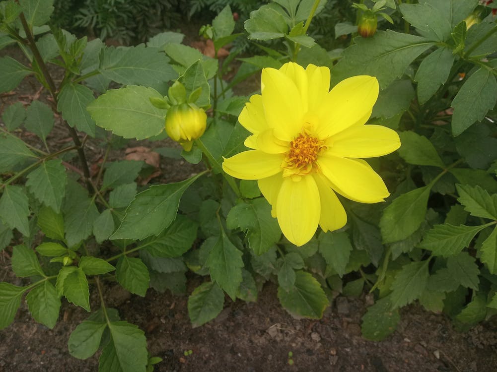 Solidaritas Membara! Palembang Kirim Bantuan Rp 2.6 Miliar untuk Korban Banjir Sumatera