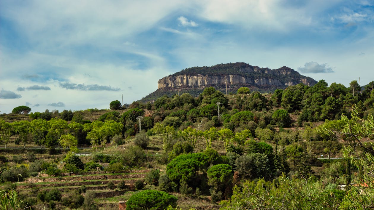 Revolusi Kesehatan Komunitas: Pemerintah Perkuat Posyandu Menuju Posyandu Sejahtera dengan Digitalisasi dan Layanan Terpadu