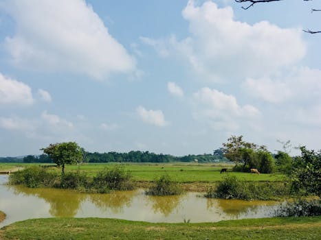 Ancaman Tersembunyi: Mengapa Penerimaan Pajak India yang Lesu Adalah Peringatan Serius bagi Ekonomi