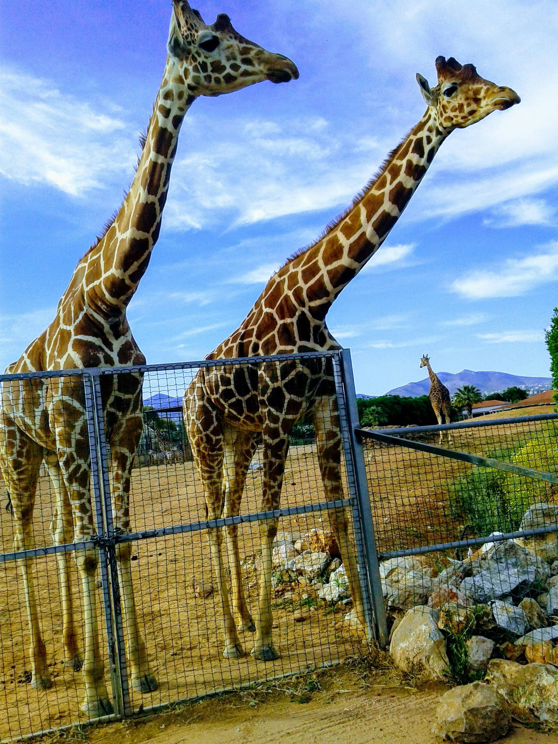 Badai Sempurna 2025: Saat Margin Call Kripto Mengguncang Pasar Saham Global!