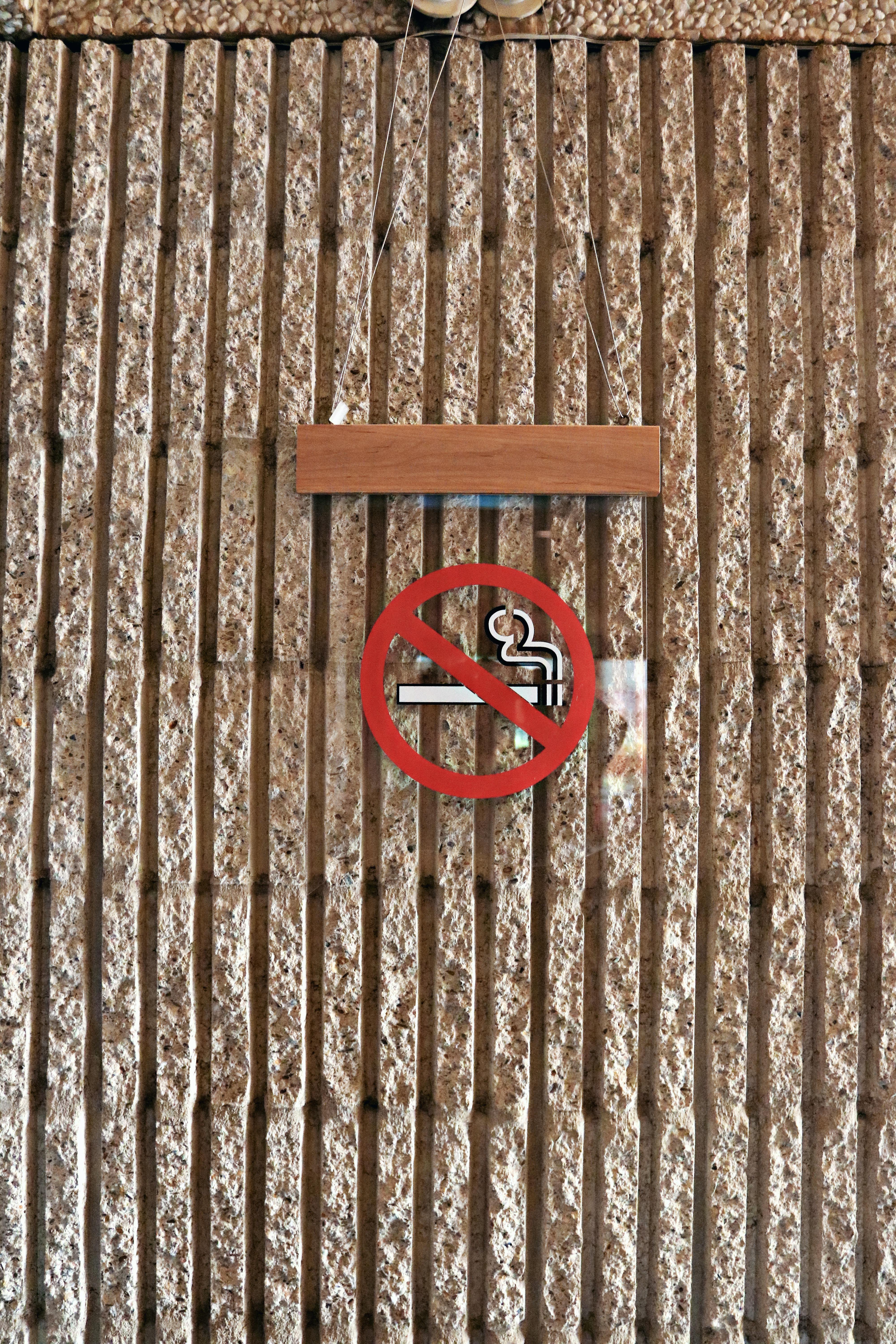 Pertamina Eco RunFest 2025: Lebih dari Lari, Ini Gerakan Ajak Kamu Sehat, Keren, dan Peduli Lingkungan!